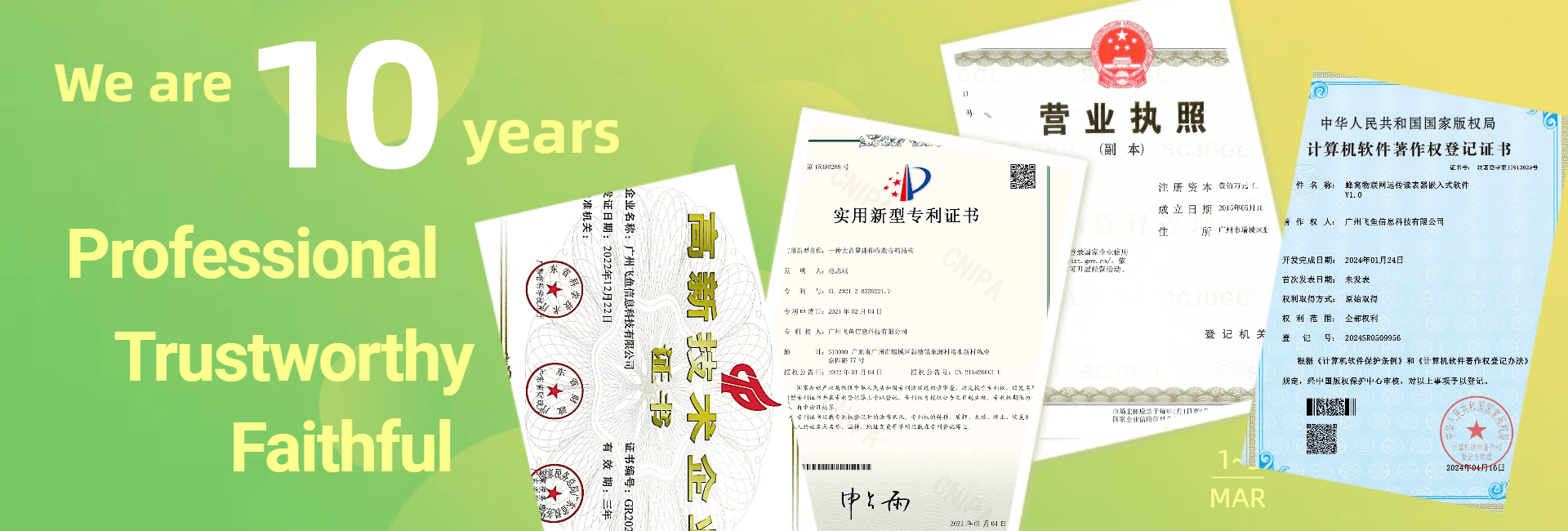 10年专业 值得信赖